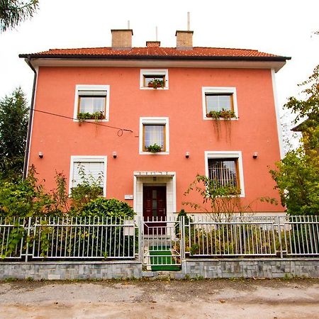 Guest House Pikapolonca 마리보르 외부 사진